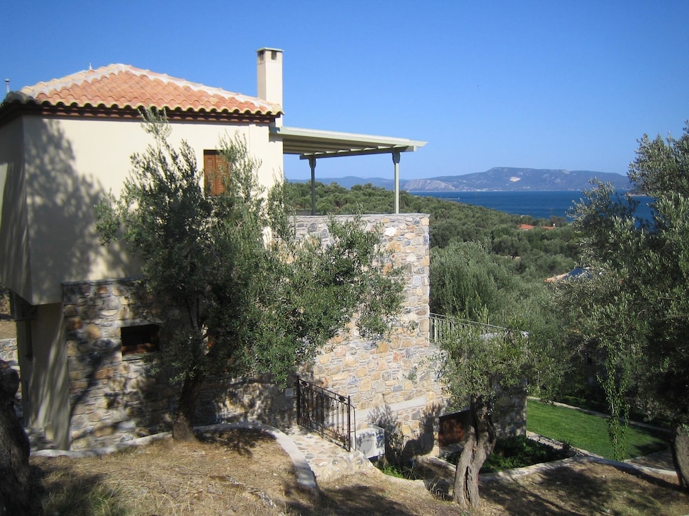 Gera's Olive Grove 45/50