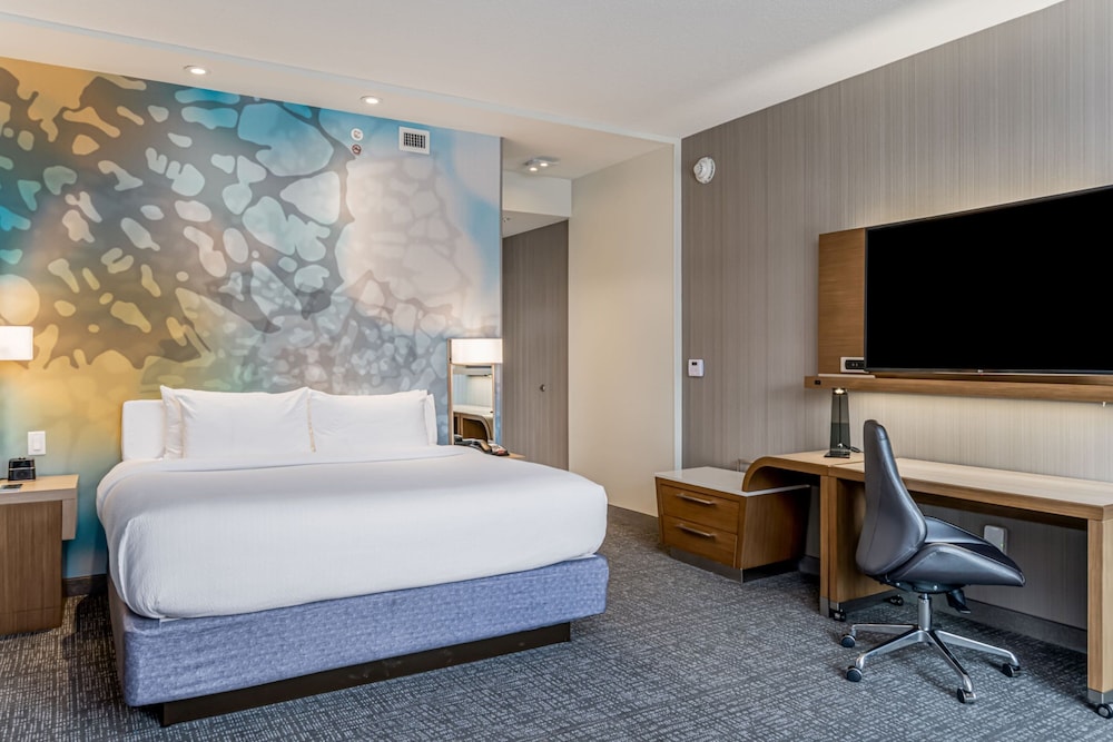 غرفة بسرير كينج مع أريكة لذوي الإعاقة، Courtyard by Marriott Asheville Biltmore Village 4/5