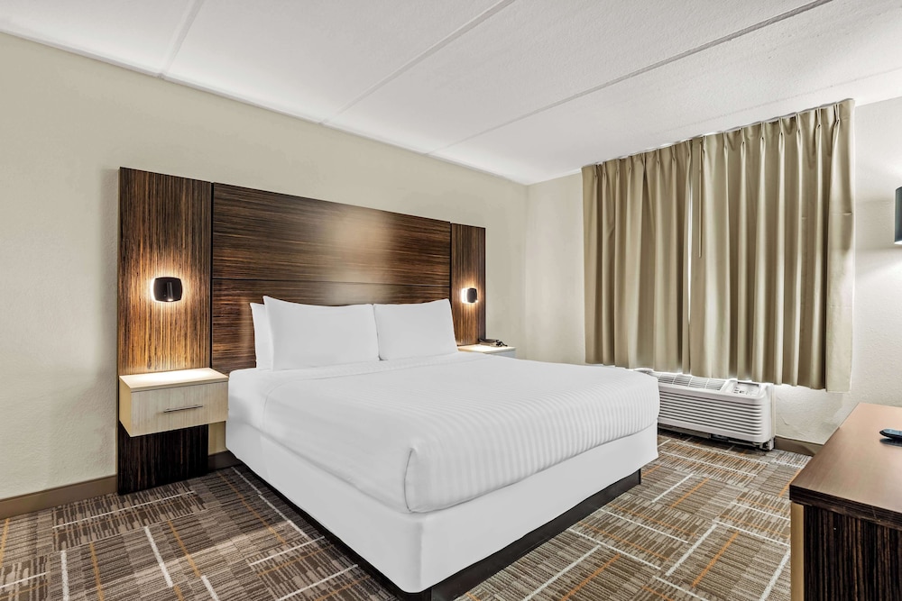 SUITE, KING BED