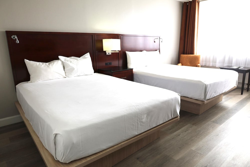 Room, 2 Queen Beds, Annex