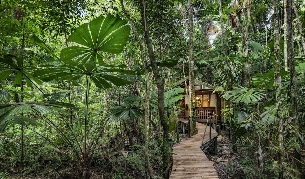 Daintree Wilderness Lodge 25/34