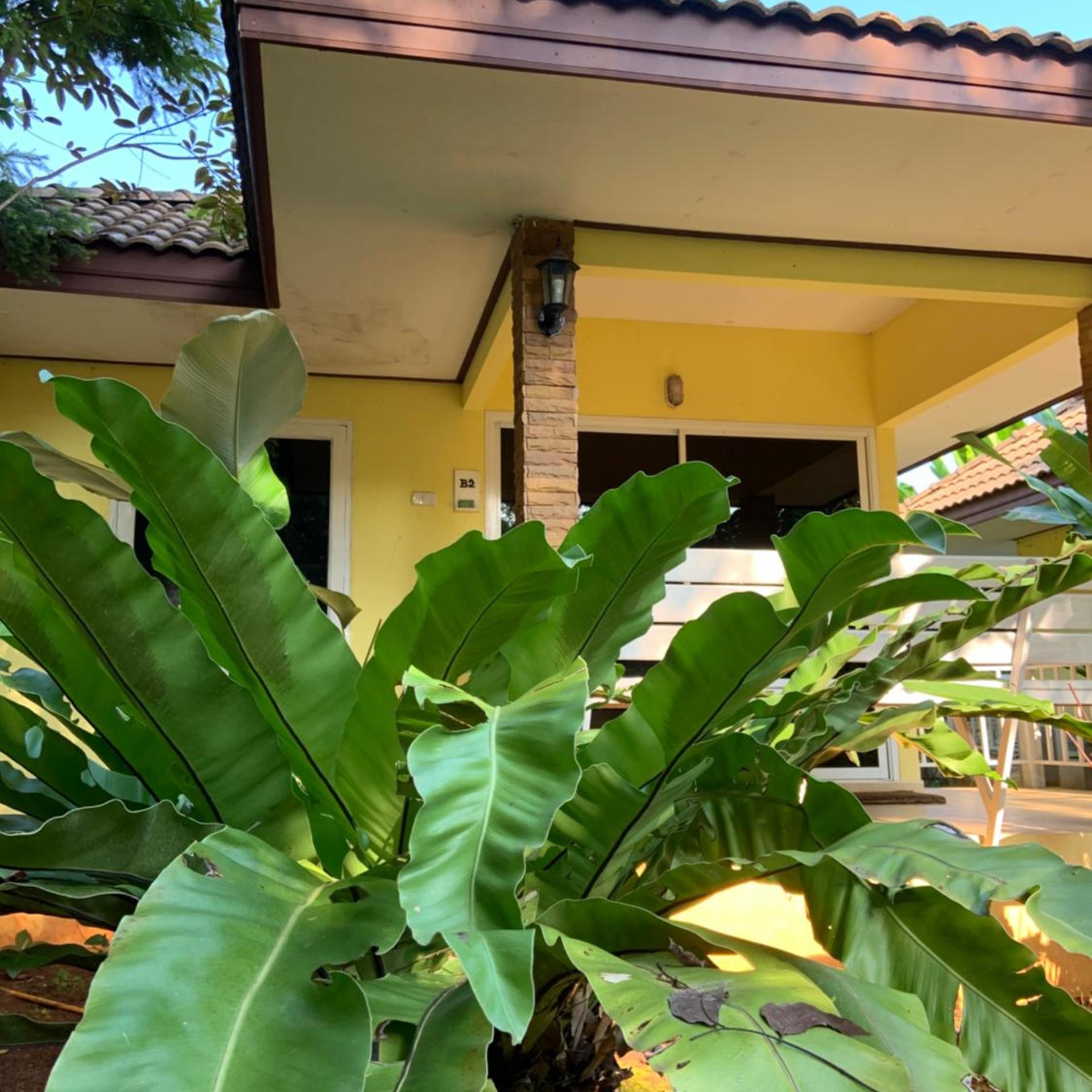 Khao Yai Cottage 2/81