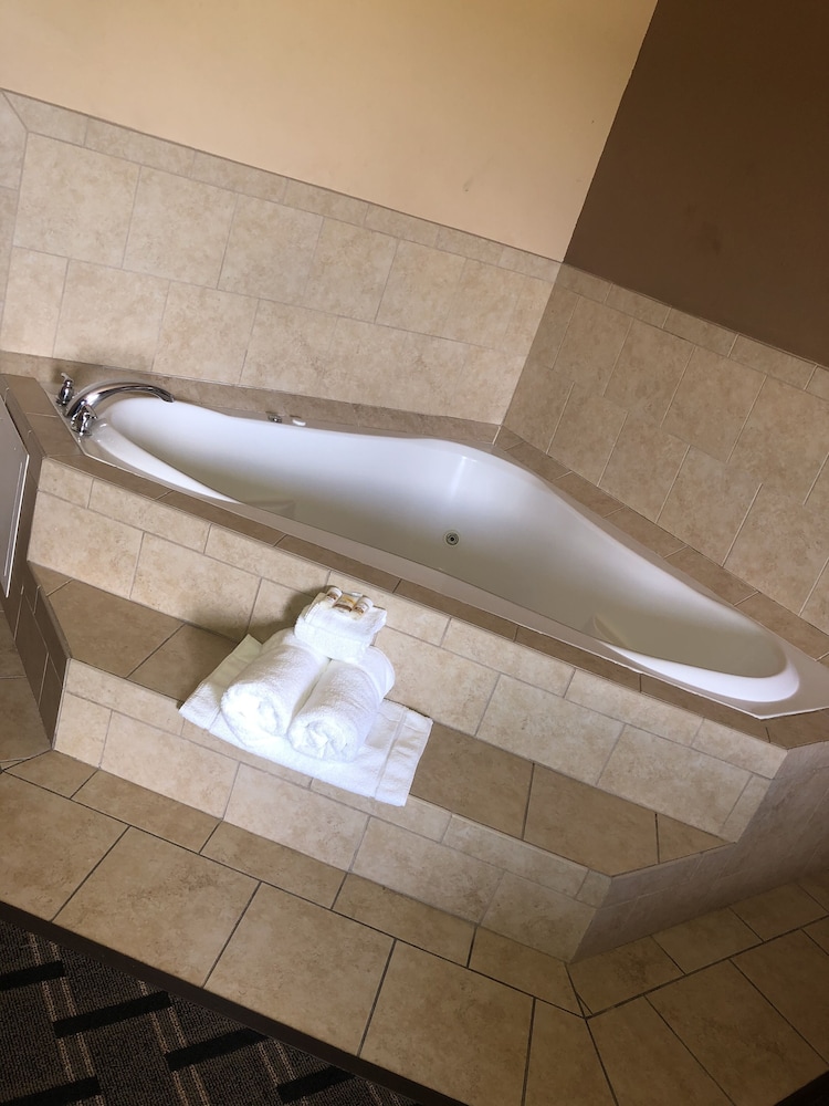 La Quinta Inn and Suites by Wyndham Mt. Pleasant 28/72