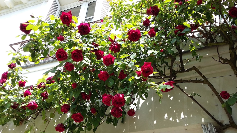 B&B La Héraudière 39/47