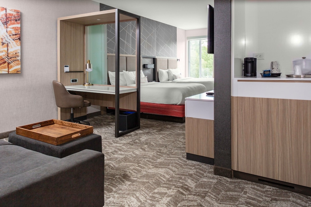 SpringHill Suites by Marriott Suwanee Johns Creek 46/46