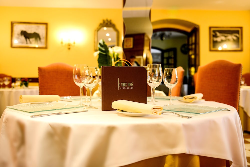 HOTEL LE VIEUX LOGIS 13/34