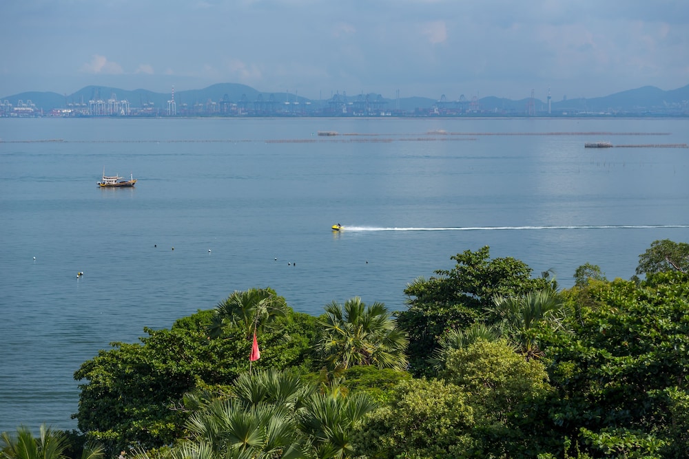 Garden Sea View 44/50