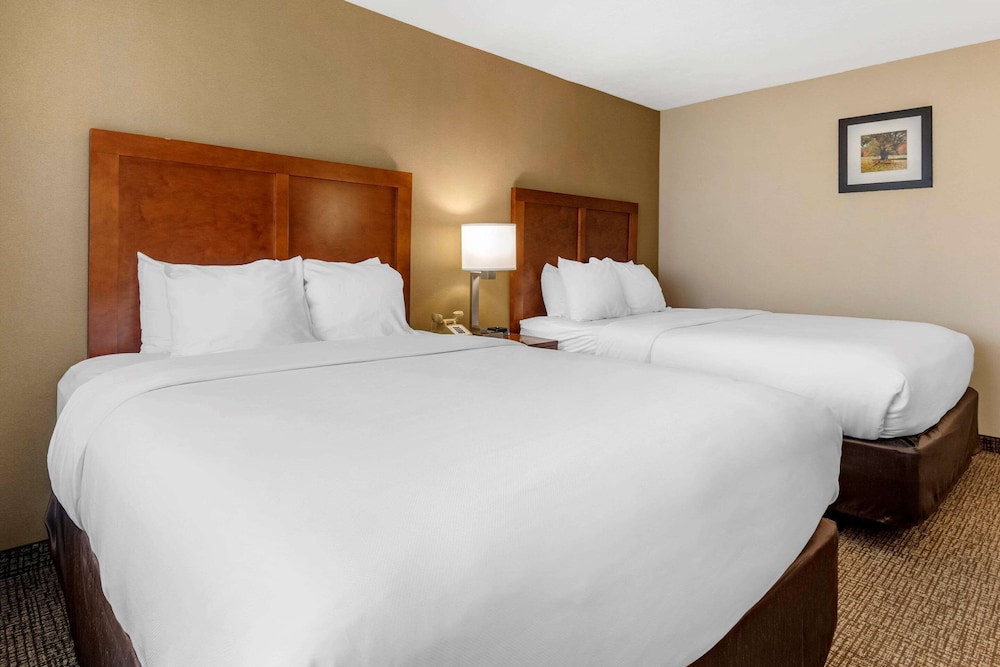 Room, 2 Queen Beds