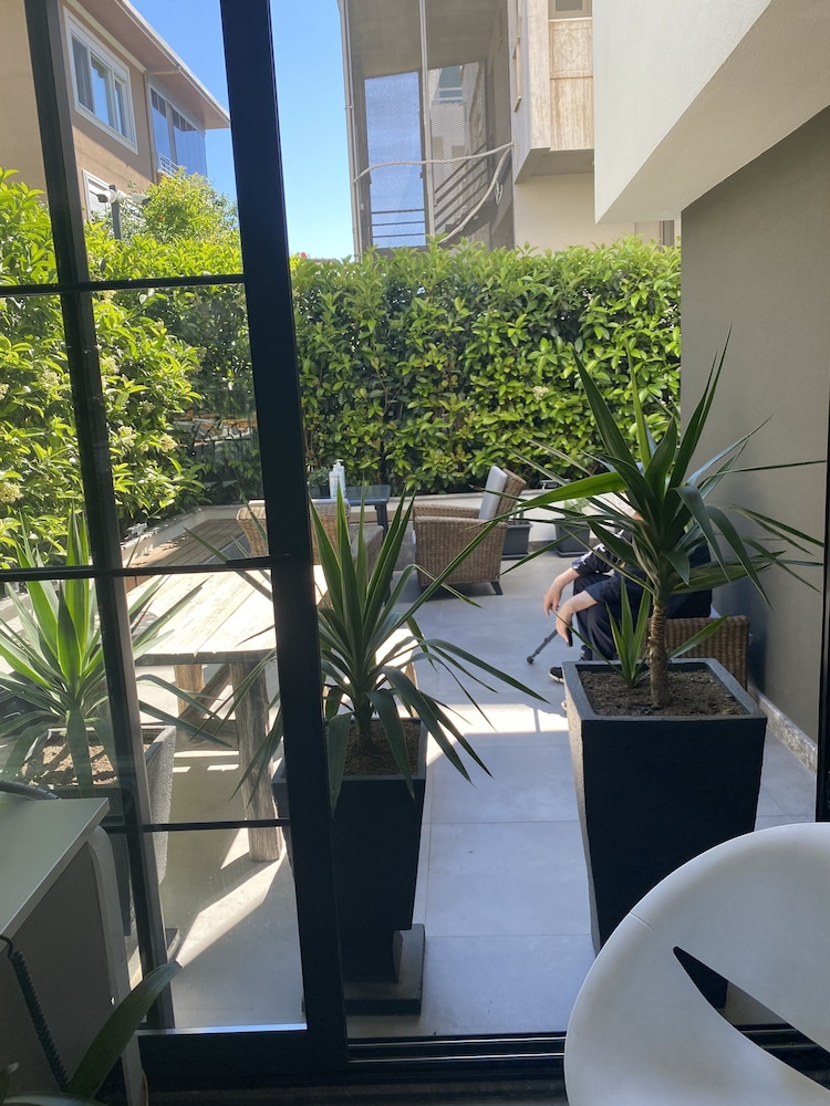 Z-Suites 37/50