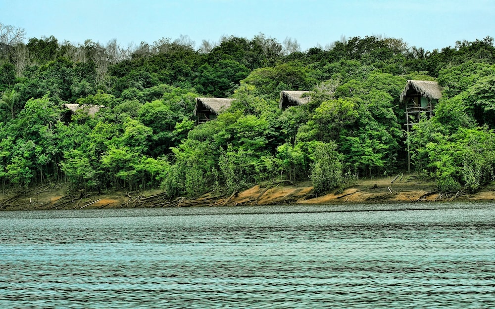 Juma Amazon Lodge 26/50