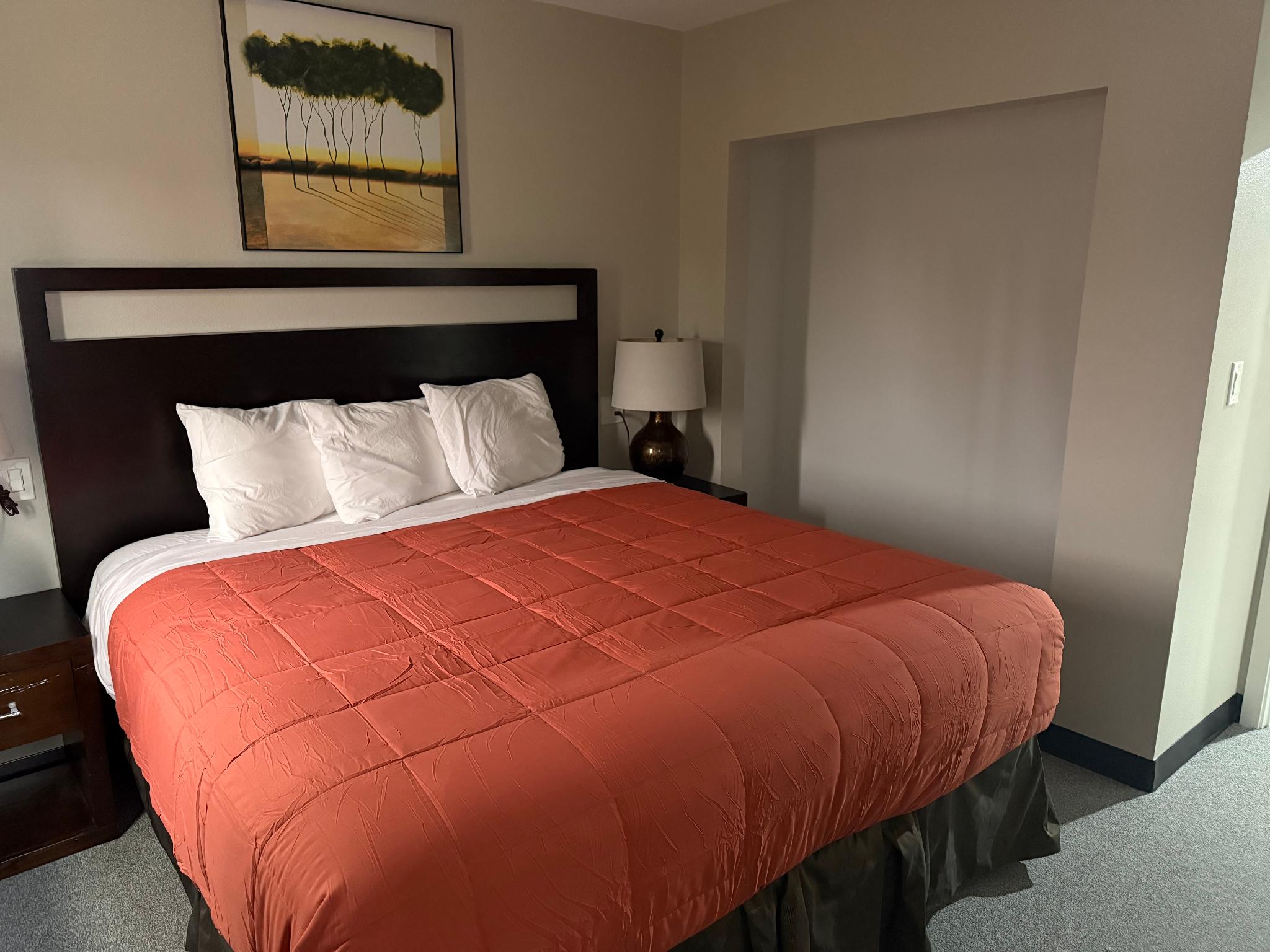 Sleeper, Deluxe, Suite