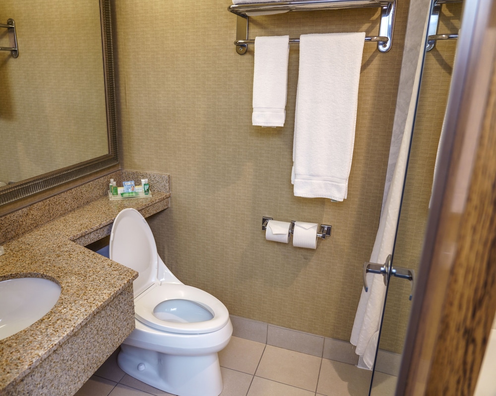 Holiday Inn New Orleans - Downtown Superdome 19/61
