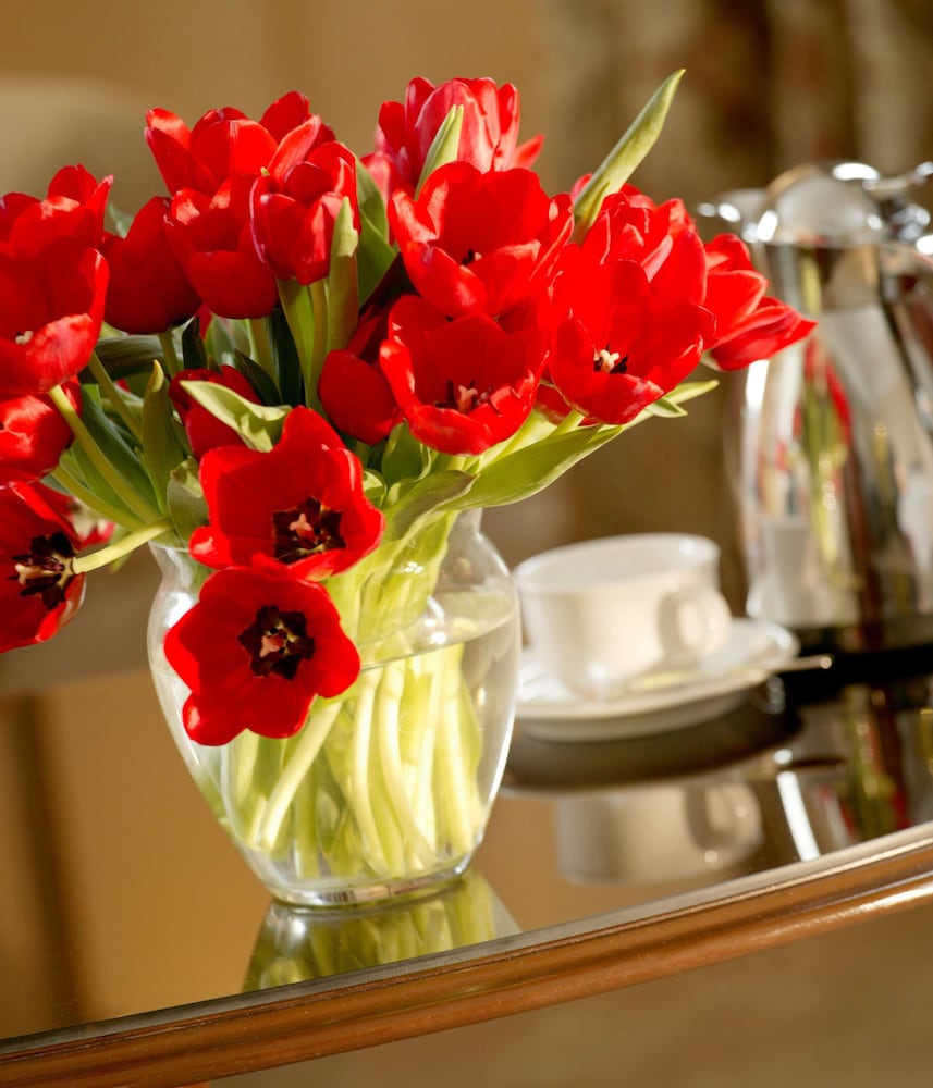 Hotel Fairmont Palliser 25/54