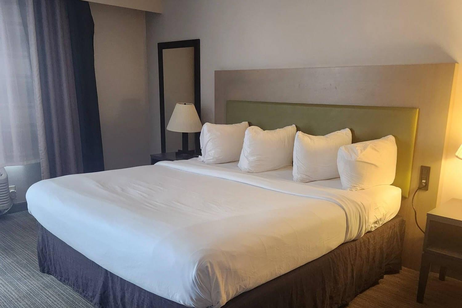 SUITE, KING BED, ACCESSIBLE