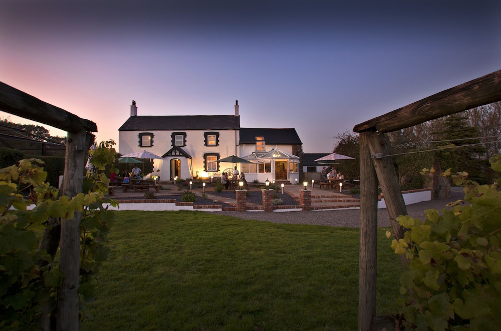 Llanerch Vineyard 38/50
