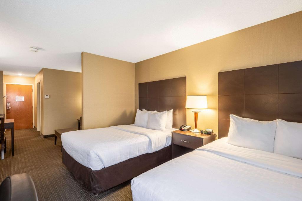 Upgrade, Suite, 2 Double Beds