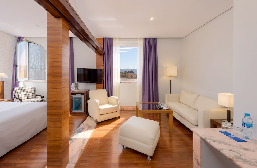 Hotel Murcia Rincon de Pepe Affiliated by Melia (ex Tryp Murcia) 38/73