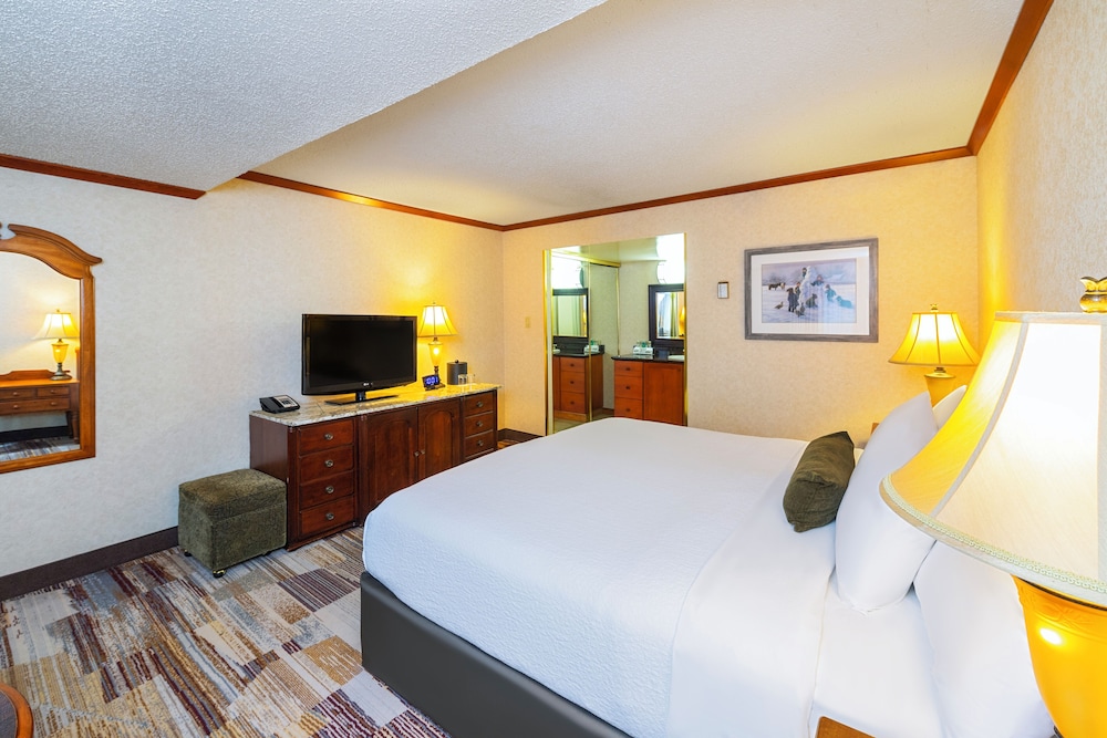 Deluxe, King Bed