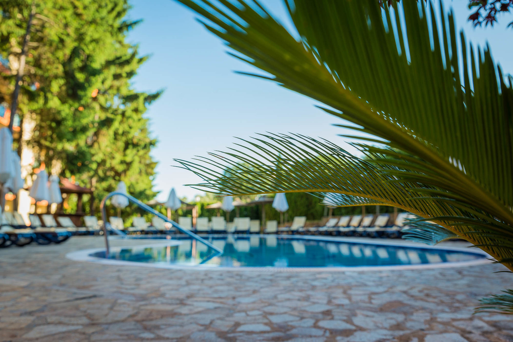 Sunshine Club Magnolia & Spa Hotel(Ex. Primasol) 43/48