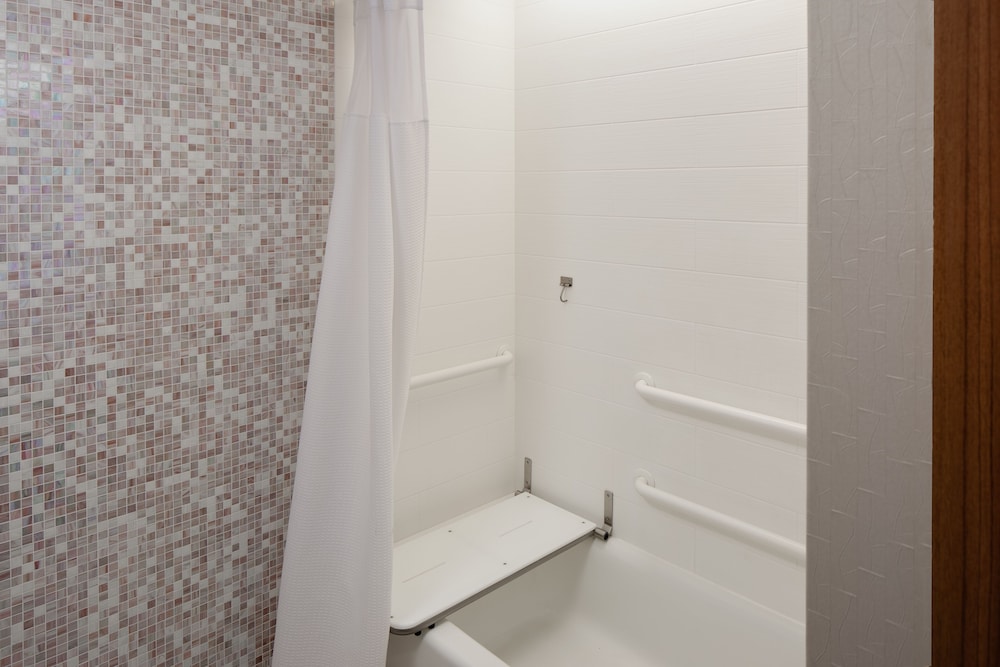 SpringHill Suites by Marriott Detroit Metro Airport Romulus 13/47