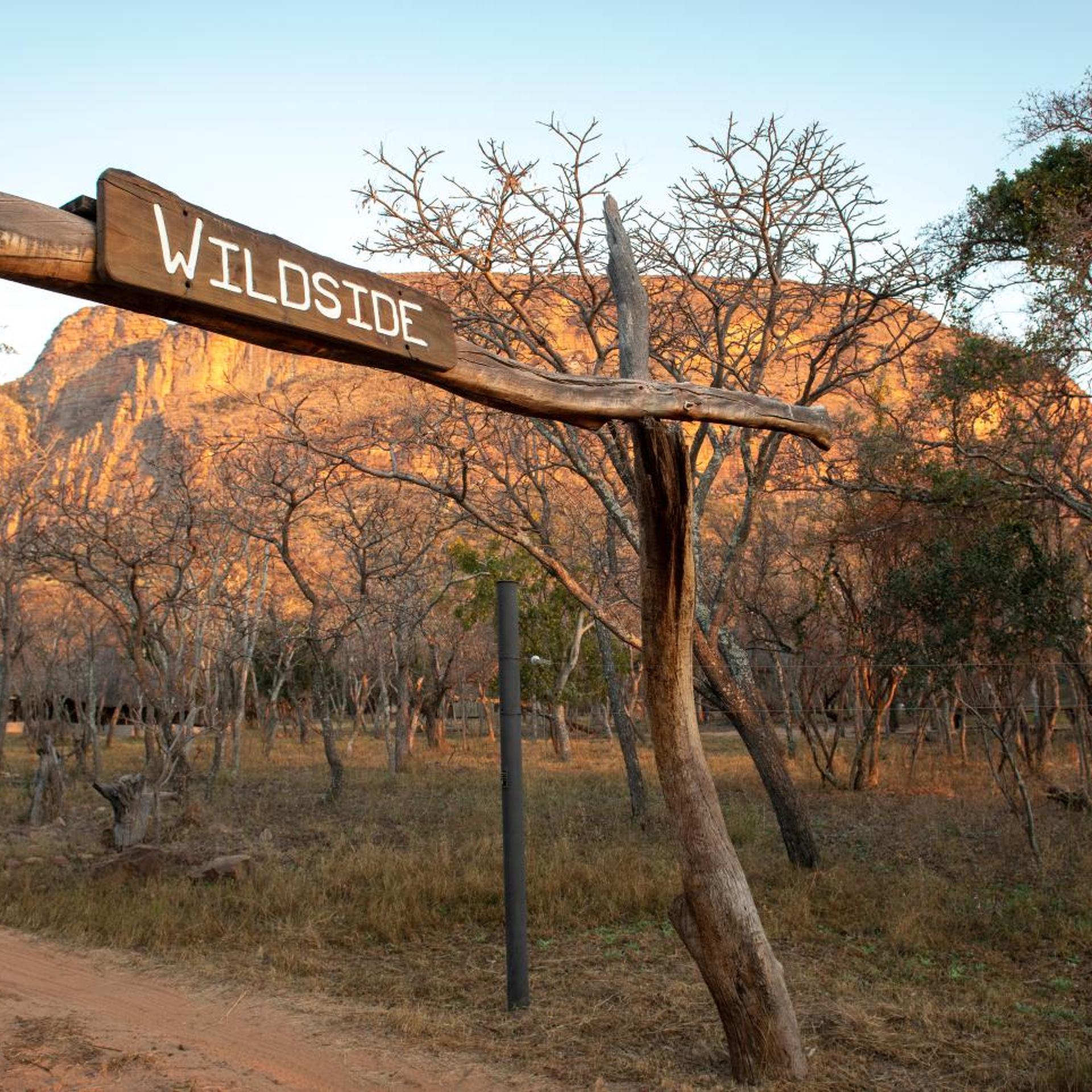 Entabeni Game Reserve/ Safari Conservancy 29/37