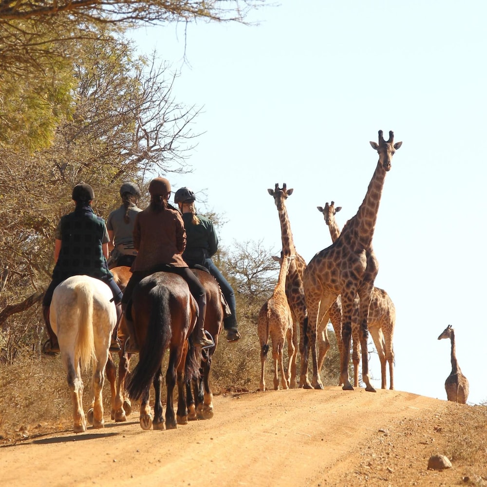 Pakamisa Private Game Reserve 23/34