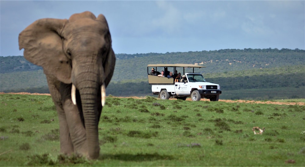Hitgeheim Country Lodge Eco Reserve 45/50