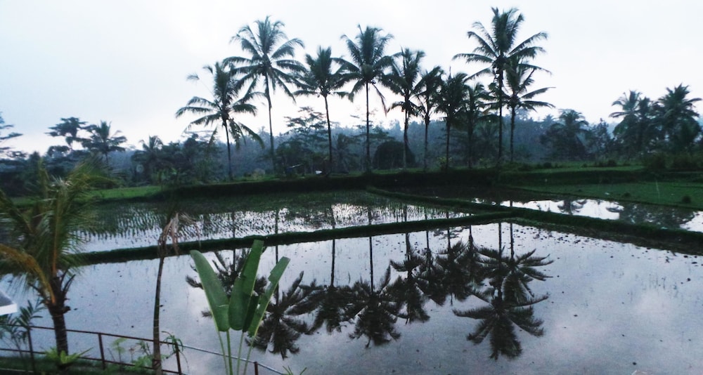 Villa Kemuning 32/40