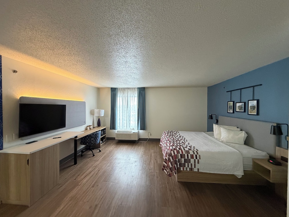 Suite, King Bed, Sofa, Kitchenette