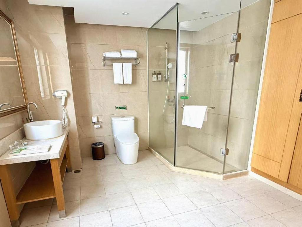 Vienna Hotel Huizhou (Huabianling Square Branch) 50/50