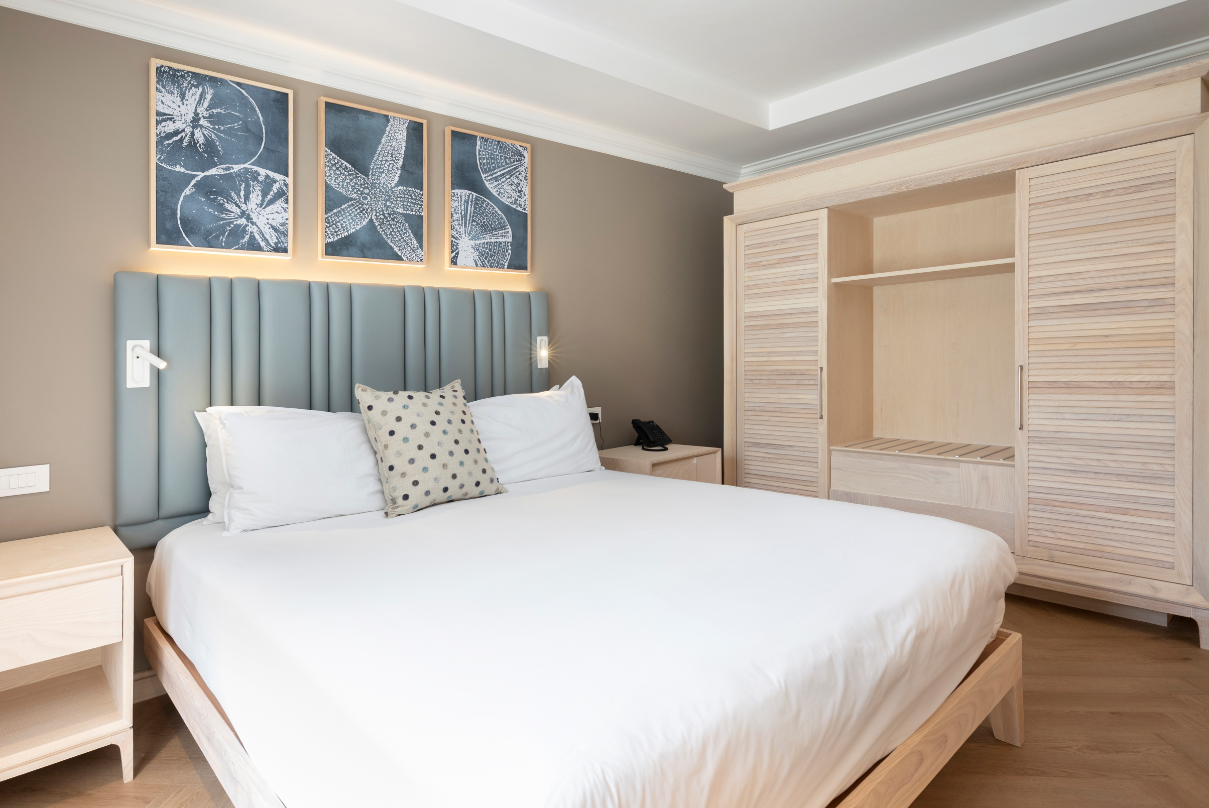 Room, King Bed