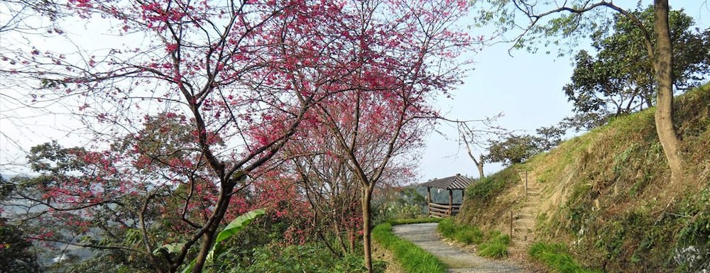 Shangrila Leisure Farm 41/50