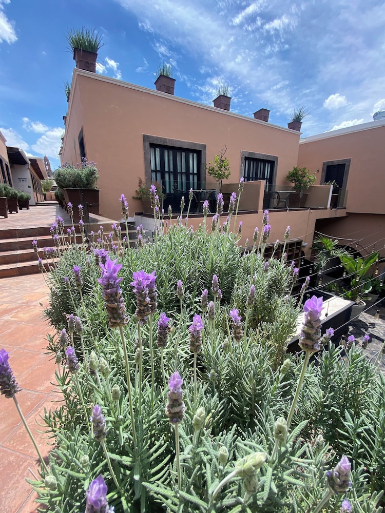 Hacienda de Guadalupe Hotel Boutique 54/62