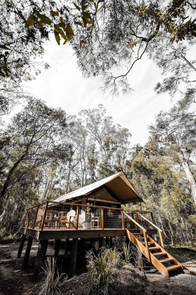 Paperbark Camp 8/48