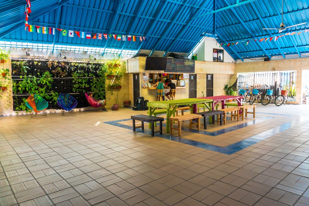 Wonderland Party Hostel 42/51