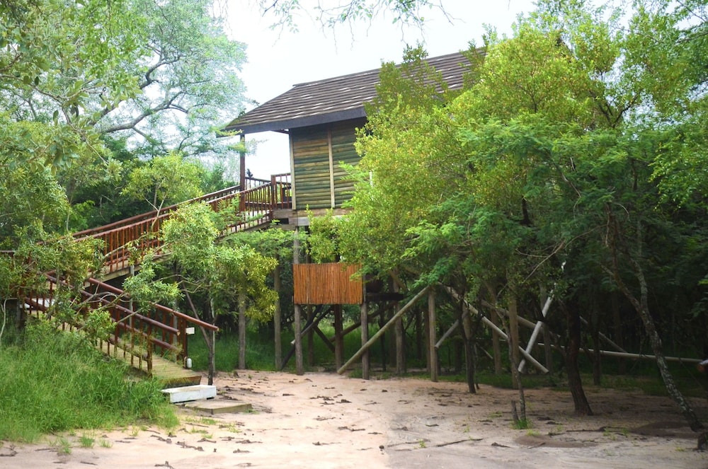 Pezulu Tree House Lodge 41/50