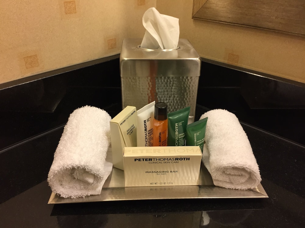 Hilton Chicago OHare Airport 37/82