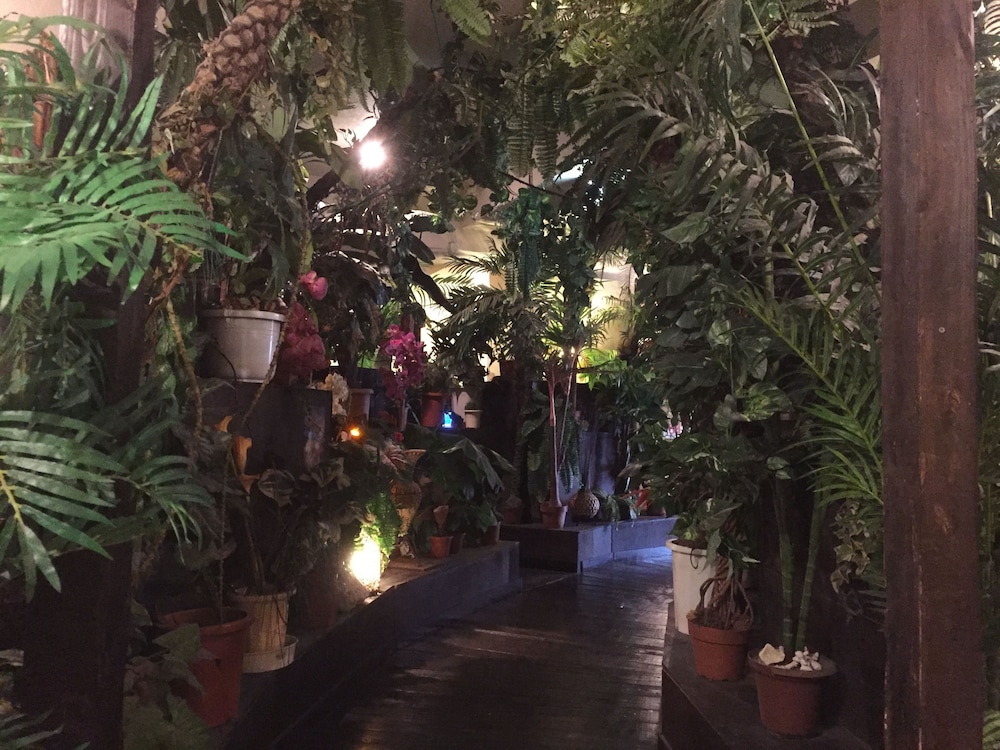 Stella Resort - Hostel 40/49