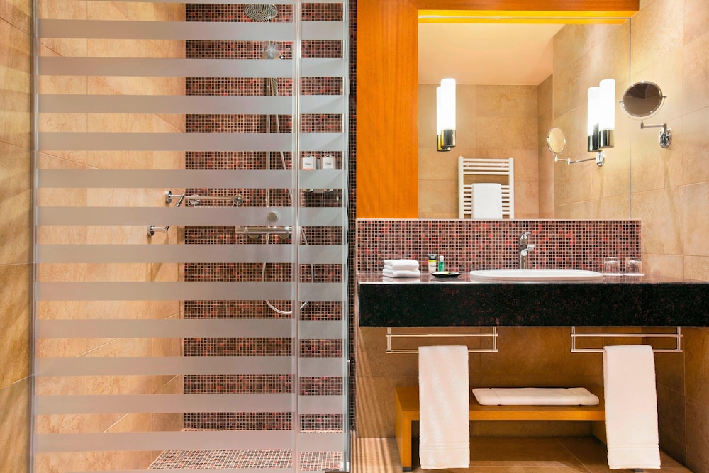 FOUR POINTS BY SHERATON KECSKEMET HOTEL & CONFERENCE CENTER 10/35
