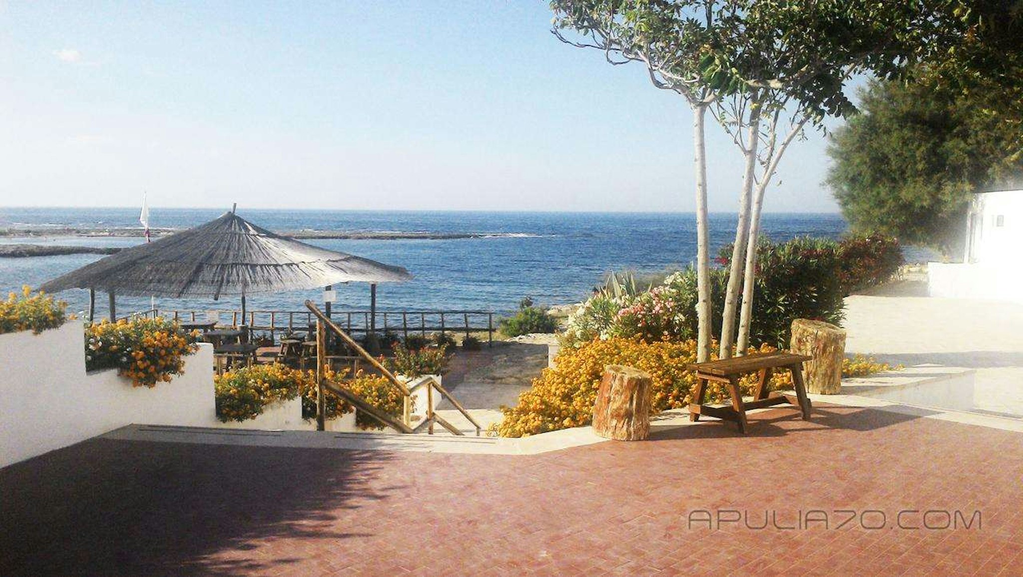 APULIA 70 HOLIDAYS 62/63