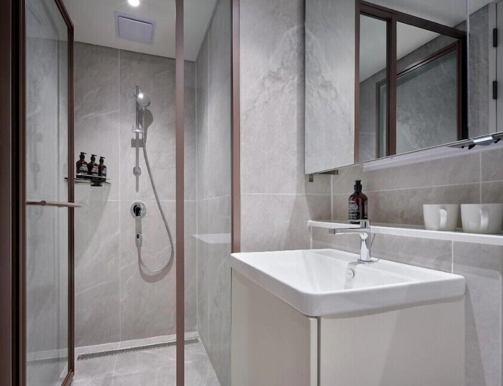 Hotel The Botanik Sewoon Myeongdong 65/65