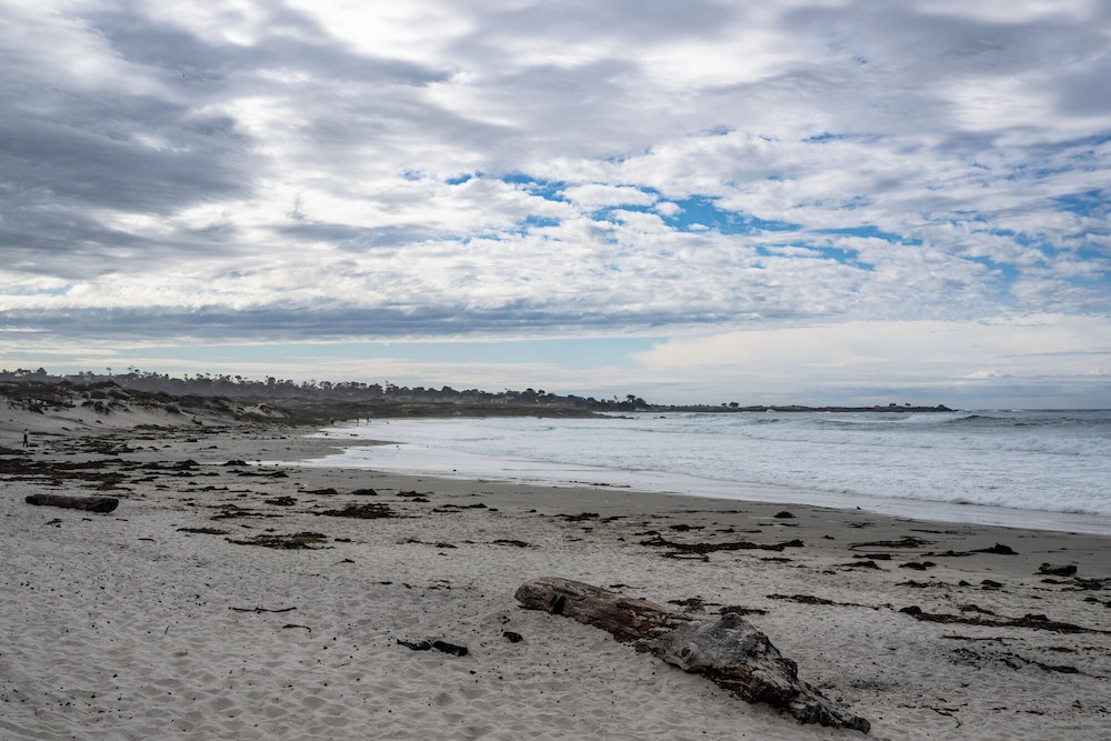 Asilomar Conference Grounds 62/66
