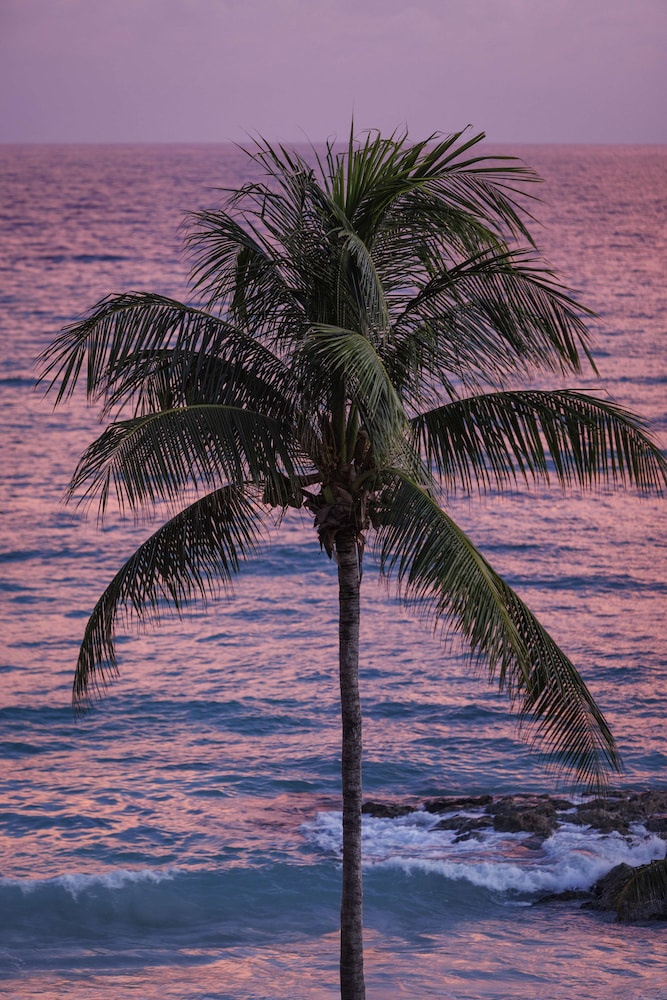 Sandals Grenada – Adults Only 70/73