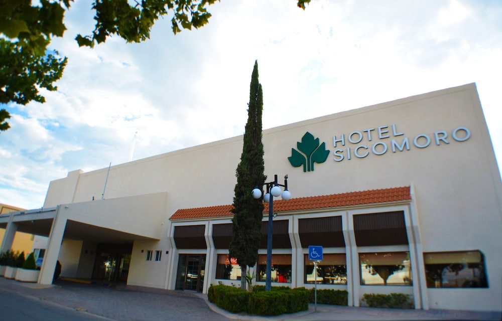 Sicomoro Hotel 41/50