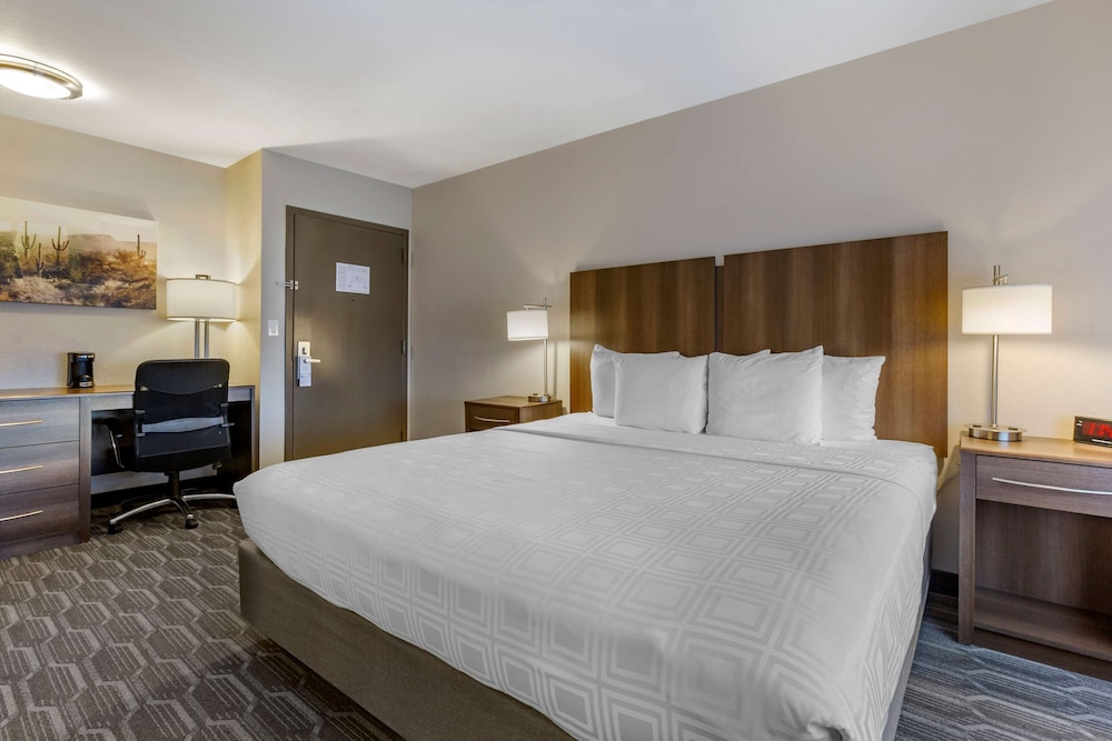 Best Western North Phoenix Hotel 19/76