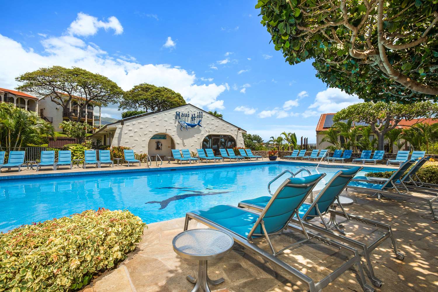 Aston Maui Hill 62/62