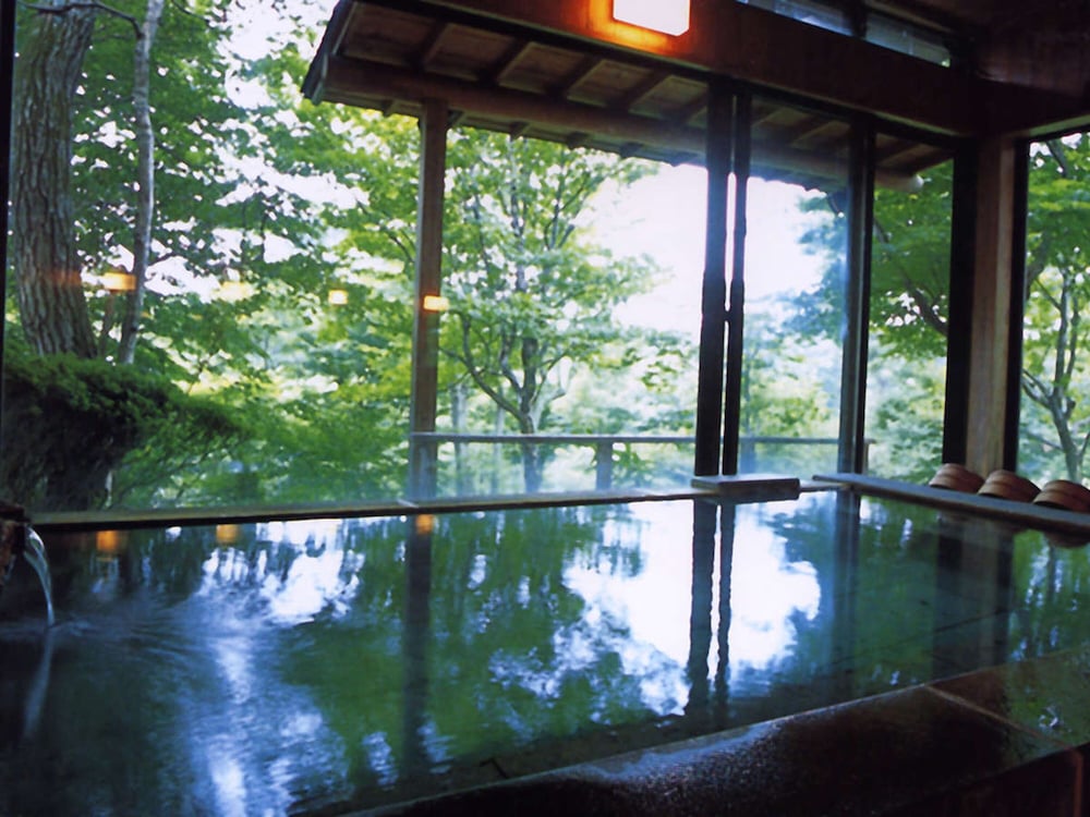 Nasuyumoto Onsen Wakaki Ryokan 17/46