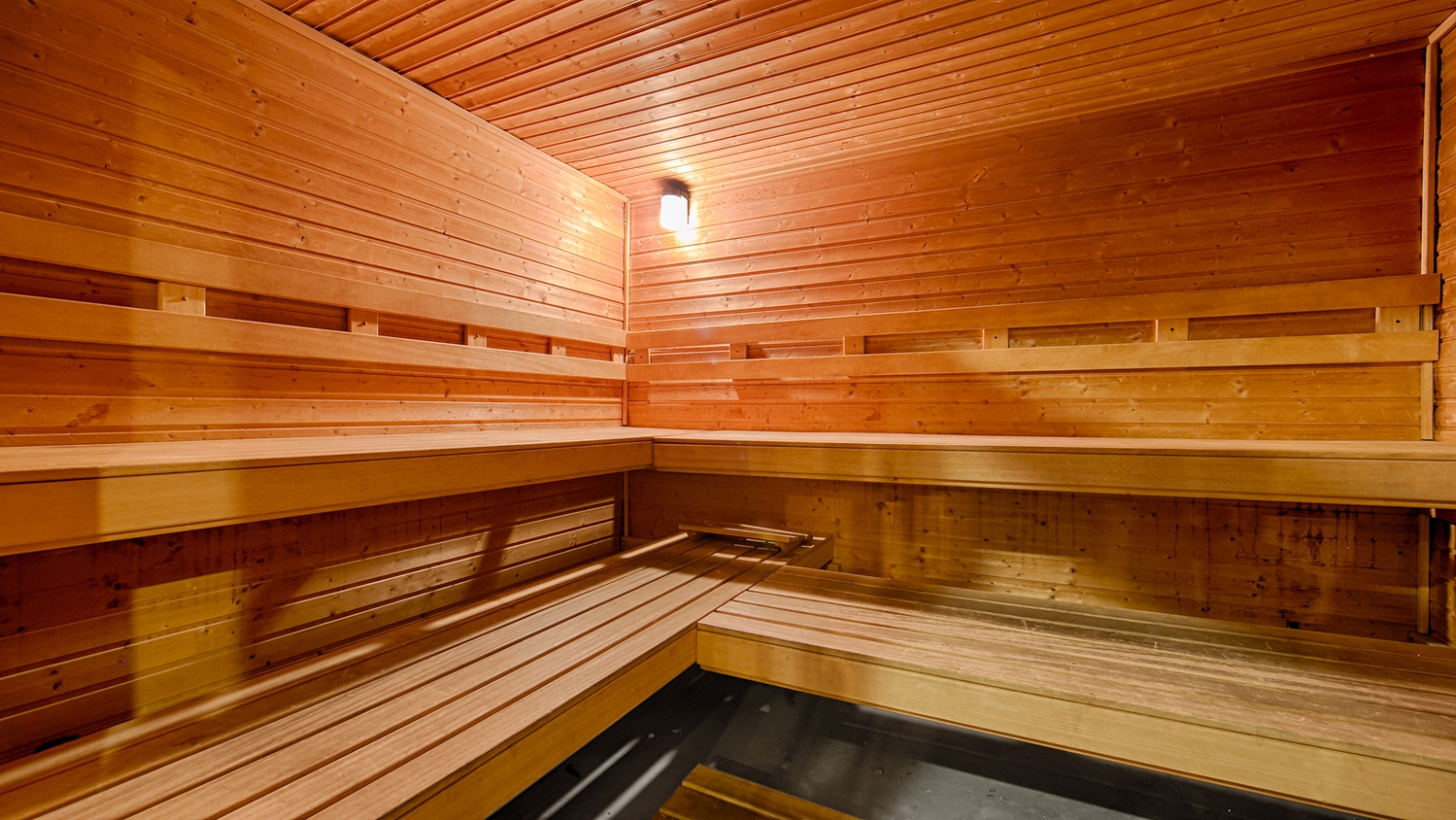 Best Western Plus Rama Inn & Suites 13/34