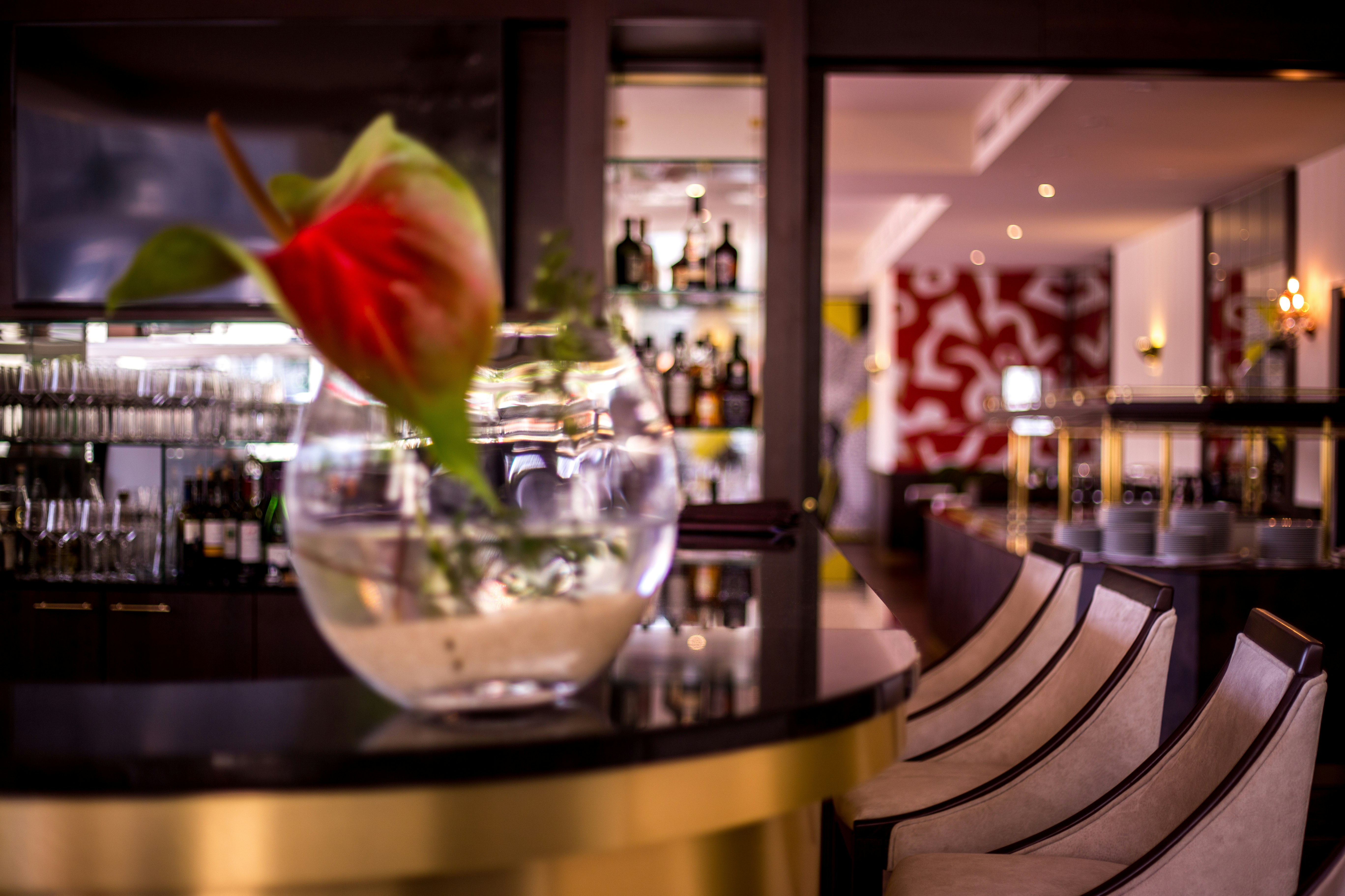 Hotel Chemnitzer Hof 5/33