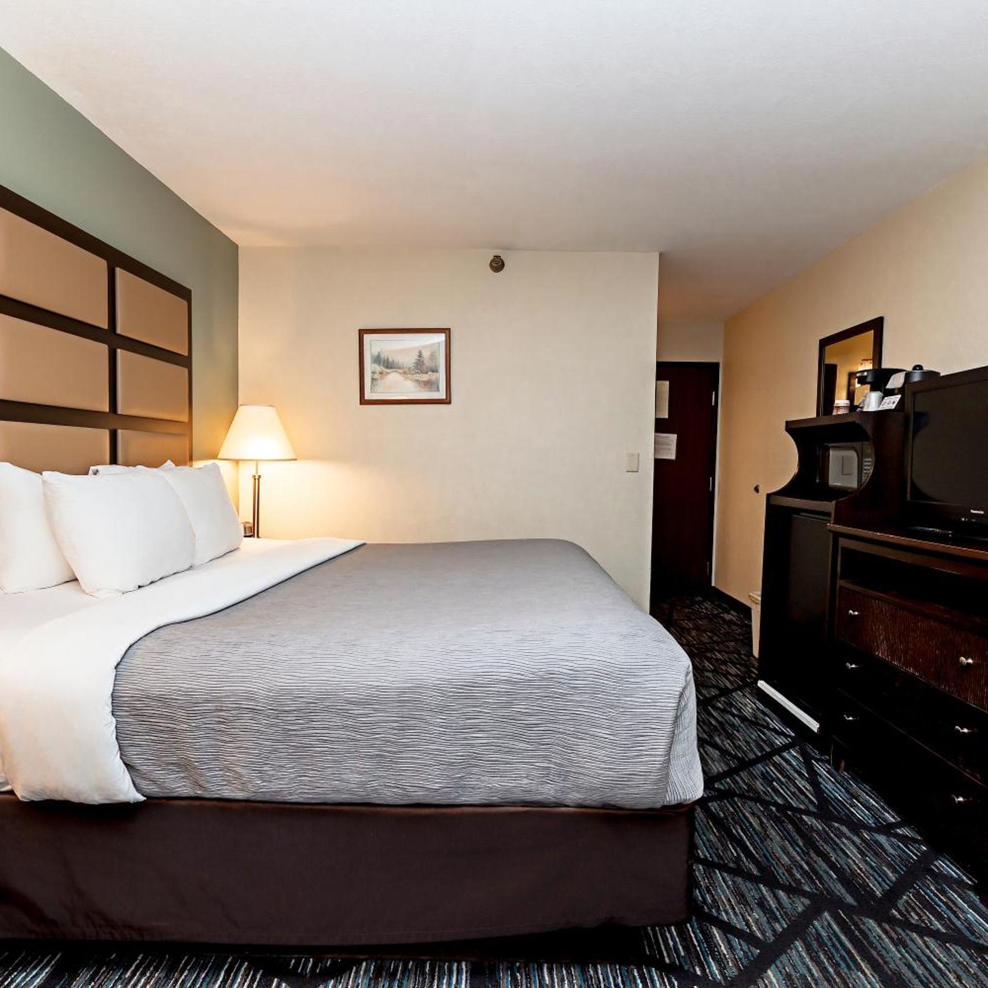 Suite, King Bed, Forest View